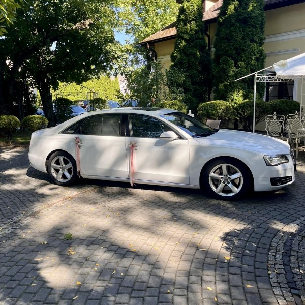 c2041749-4f33-4c97-bef4-e0c9b46556ea